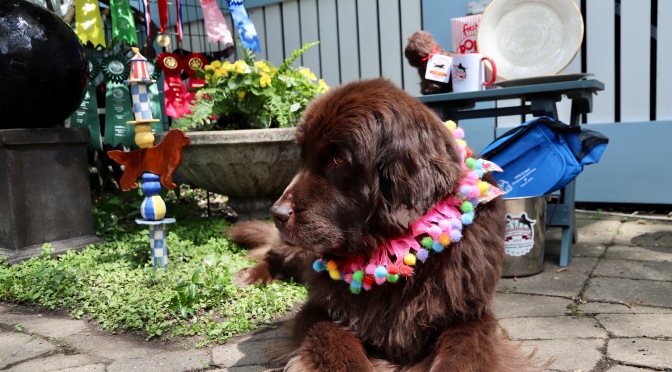 Maisie’s birthday week!